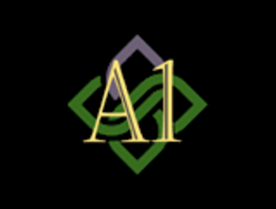A1 Financial USA reviews