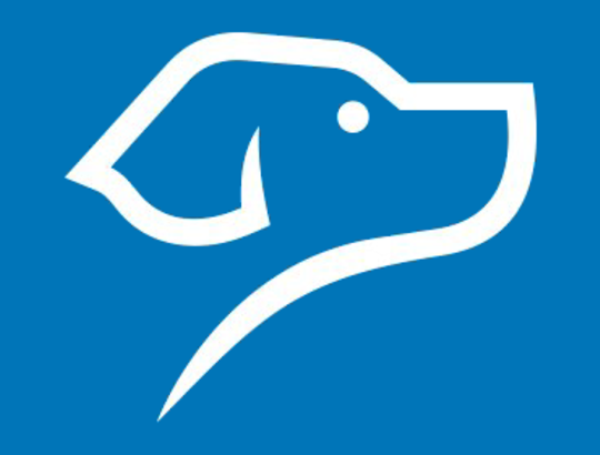 BLUEDOG reviews