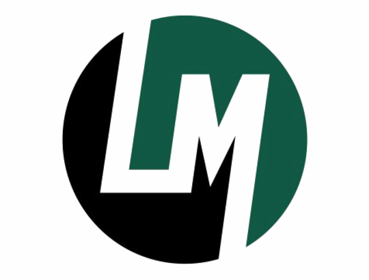 LoanMart reviews