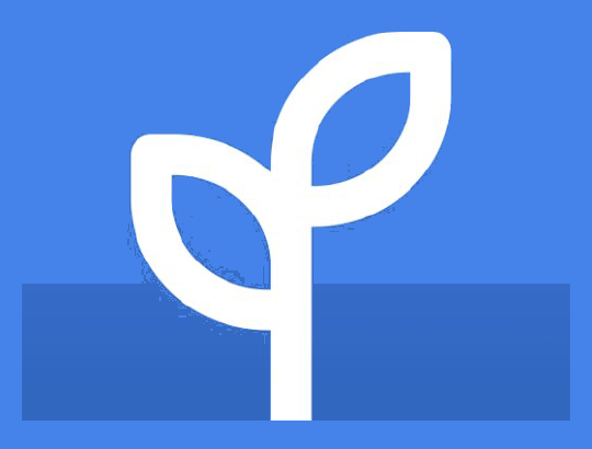 Payfully reviews